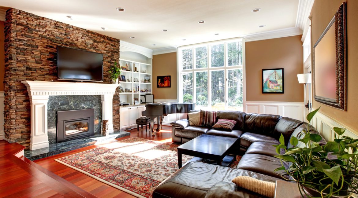 fancy-living-room